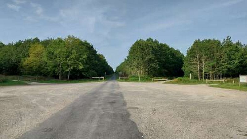 Rond de Sauveloup