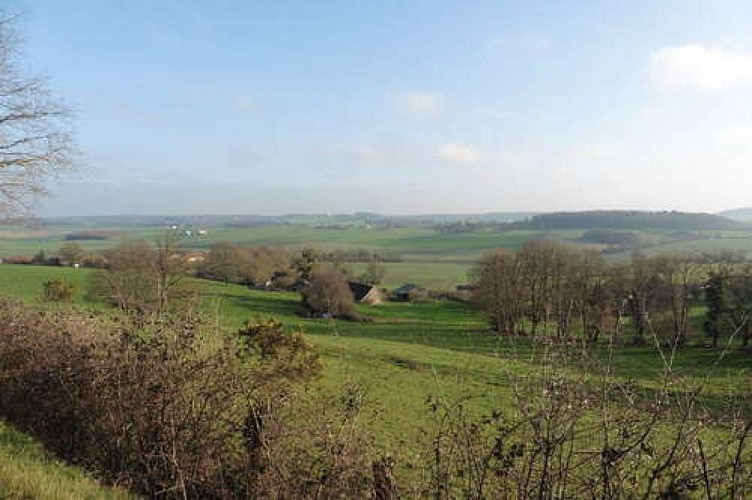 Image du poi