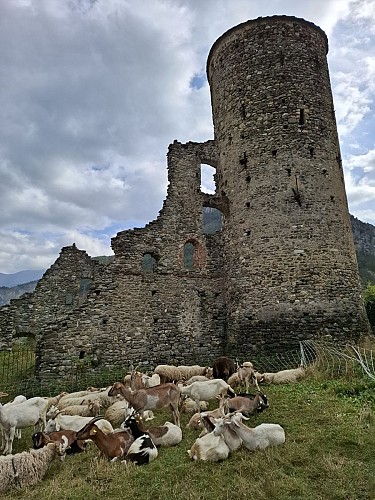 Château des Lascaris