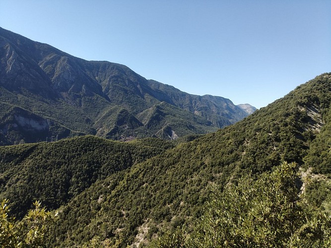 Vue vallée