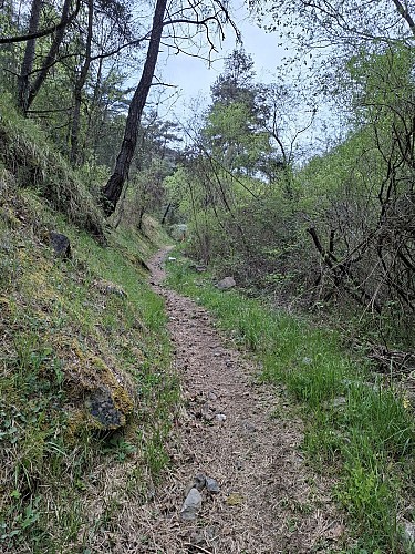 Vallon de l'espignole