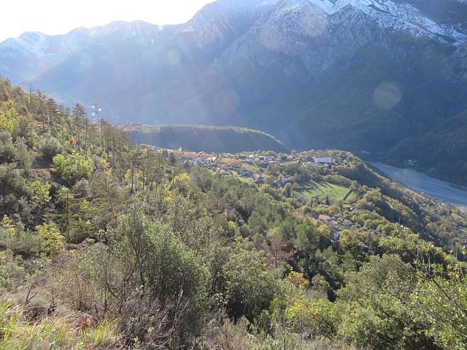 Vue vignoble