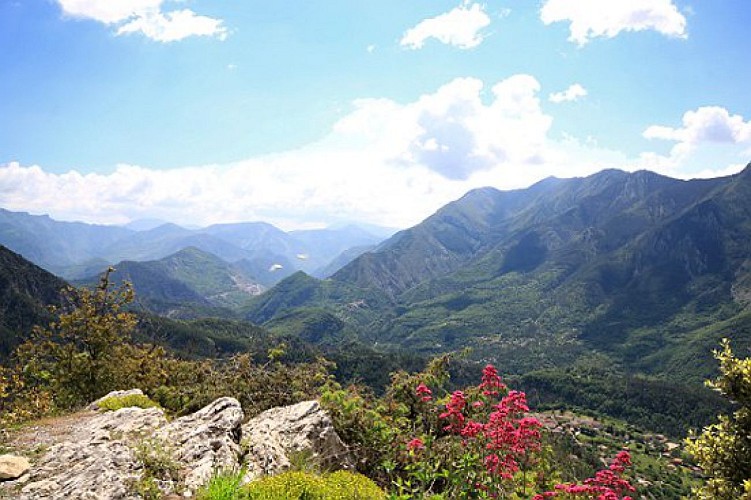 Vue vallée
