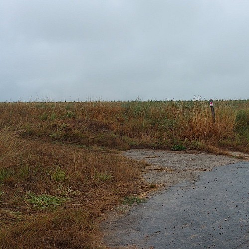 Retour sur le village de Gonzeville depuis Fultot