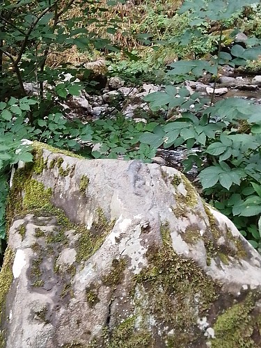 La légende de la Salamandre