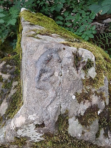 La légende de la Salamandre