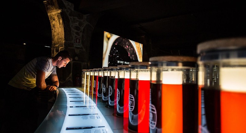 Croisière des 6 ponts, Bus à arrêts multiples & Visite de la cave à vin de Calém - Porto