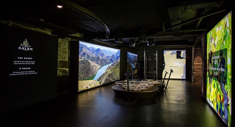 Offerta 3 in 1 - 2 giorni - Crociera dei 6 ponti, Bus hop-on hop-off e visita della cantina di Calem - Porto