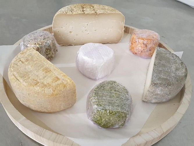 123653576_781063955773489_1723542942747160723_n