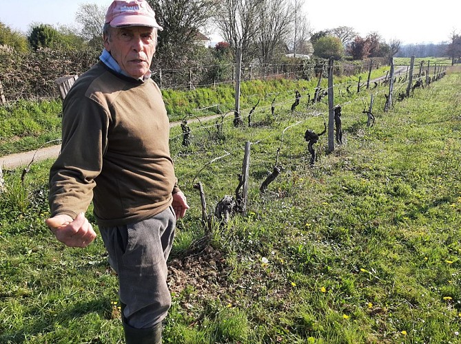 François nous parle de sa vigne