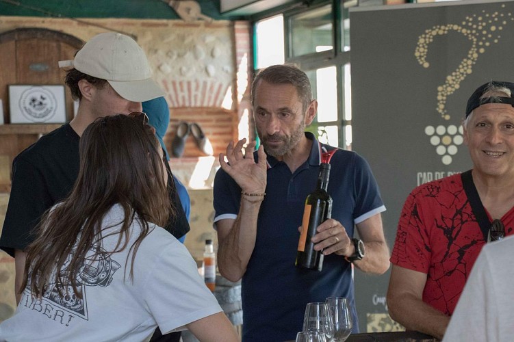 Tyrolienne et escape game Domaine Caprdevielle Monein (4)