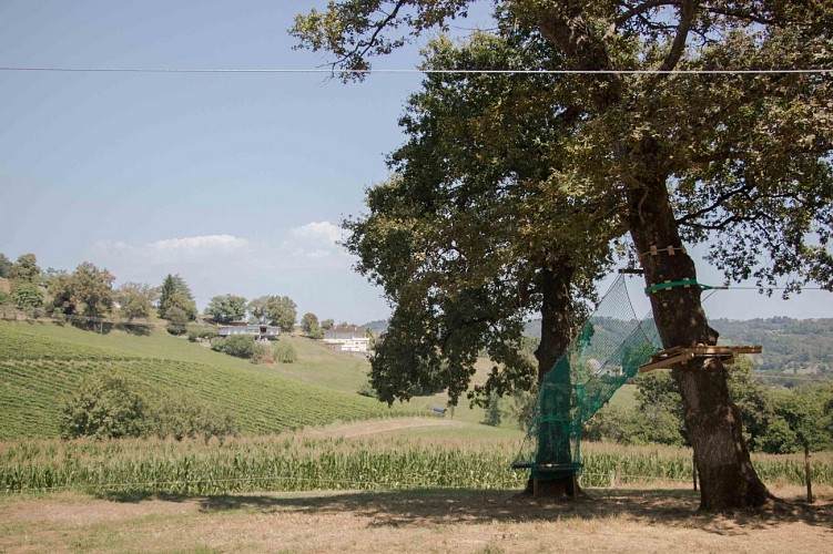 Tyrolienne et escape game Domaine Caprdevielle Monein (2)