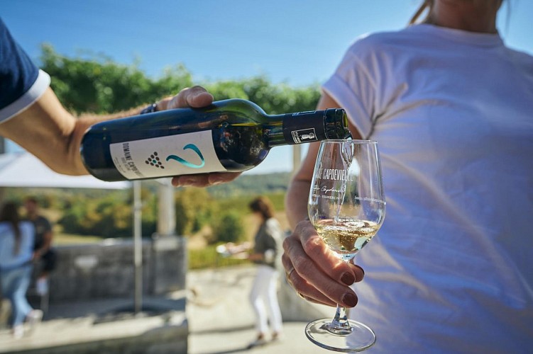 Degustation domaine Capdevielle (2)