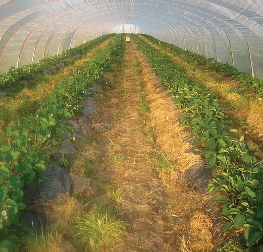 Ferme des 14 bonniers