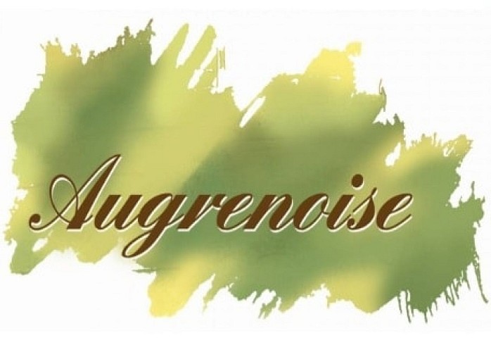 325475283_1621382508310445_3881635921643414504_n