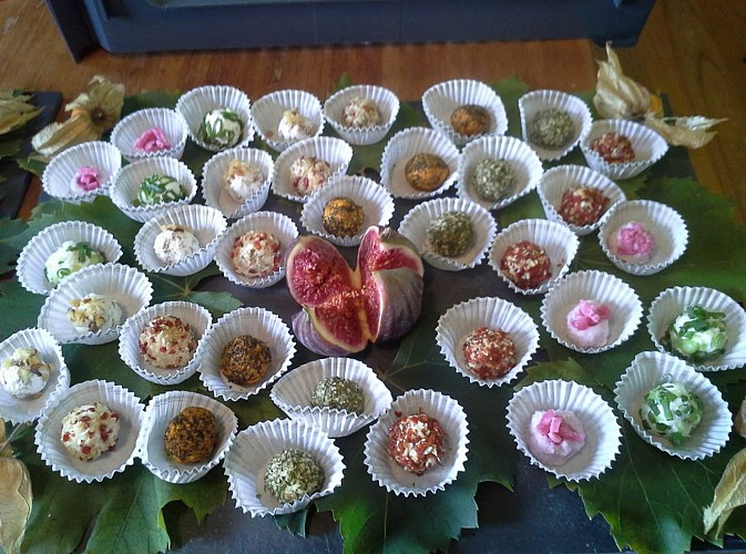 42390240_270610283782761_385834787853565952_n