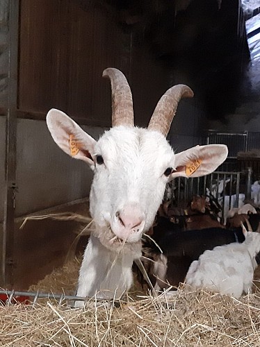 345204606_217630934311343_2322375278265088064_n