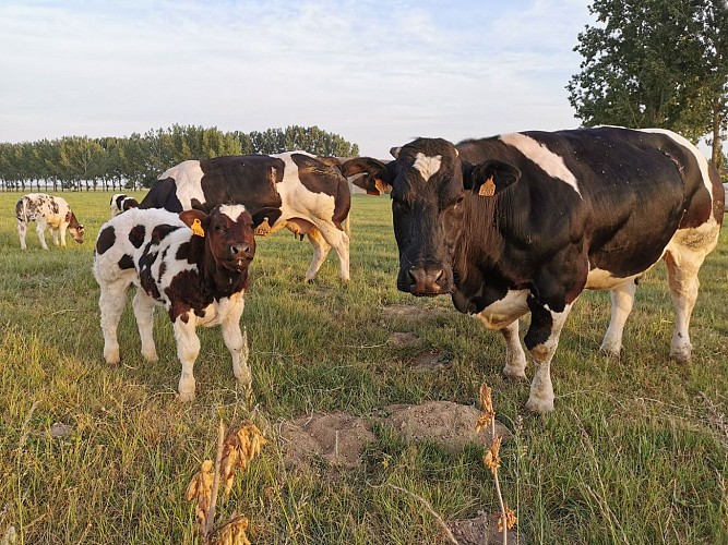 102287461_3337437962934057_3100412319750946816_n