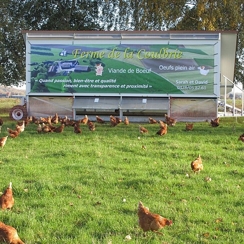 294119165_495904082337205_6859131796726695207_n