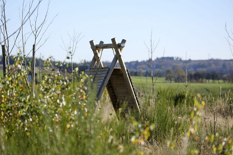 MTBastogne_Bertogne_BoisFays_AnneSegers (18)