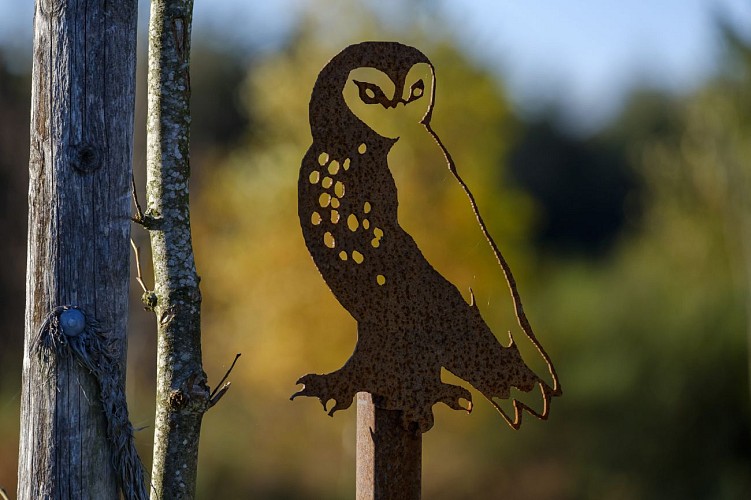 MTBastogne_Bertogne_BoisFays_AnneSegers (19)