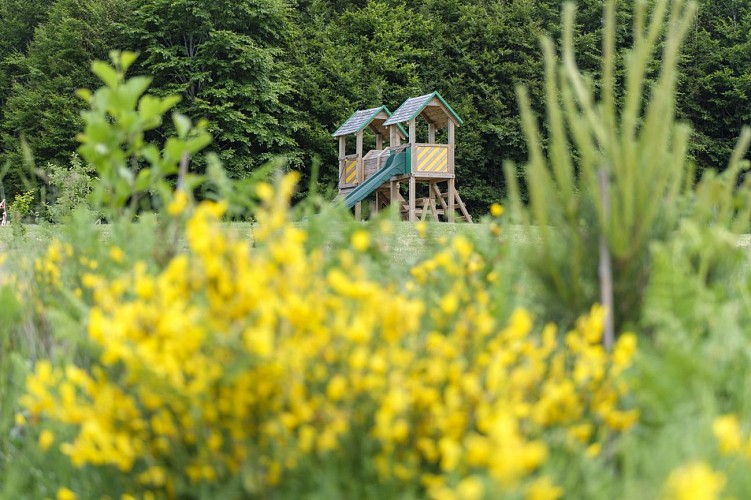 MTBastogne_Bertogne_BoisFays_AnneSegers (1)