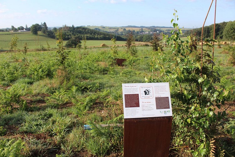 MTBastogne_Bertogne_BoisFays_BernardLecomte (44)