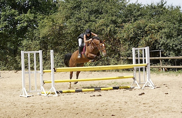 Centre équestre Gué de Frise-Arquian