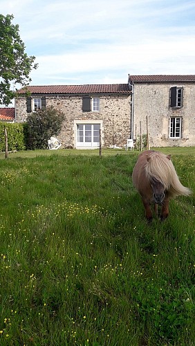 Gîte meublé Moulin Papon