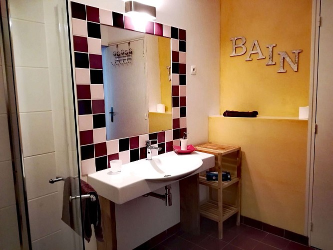 Moulin Pont Vieux - Cambre Bord de Sèvre