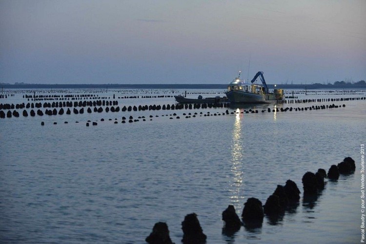 Meublé de l'agence de la Plage 24