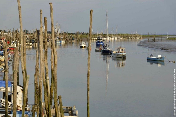 Meublé de l'agence de la Plage 24