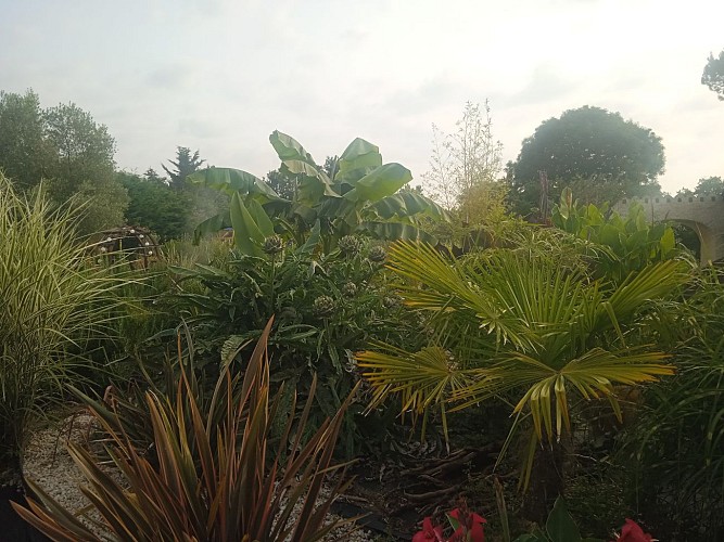 Le Domaine des Sauvineries - Les Rosiers