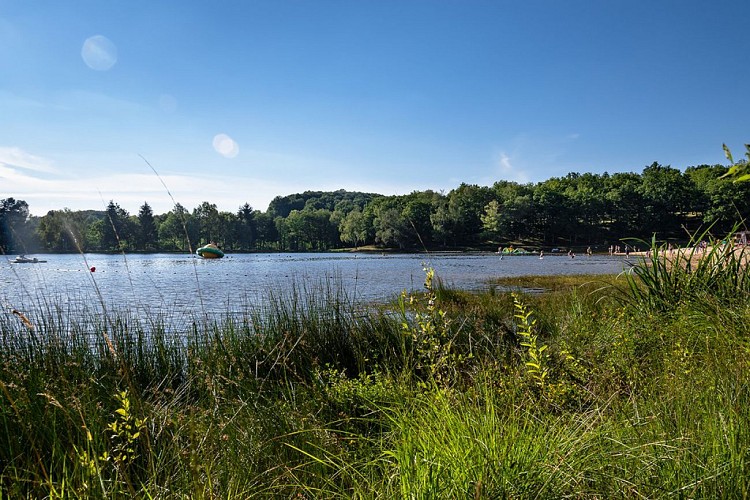 Plan d'eau de Masseret-Lamongerie (Masseret)