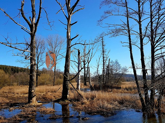 MTBastogne_SteOde_SentierArtistique_PYFays (25)