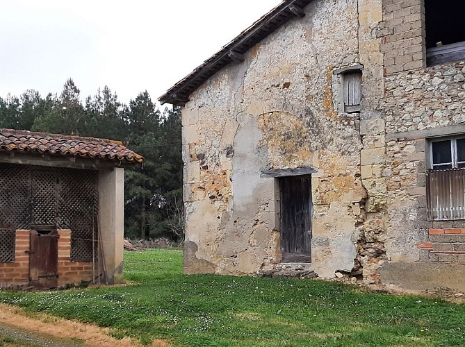 Rosa Greeter - les ruines