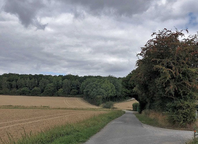 Traversée d'une rue de Bossière