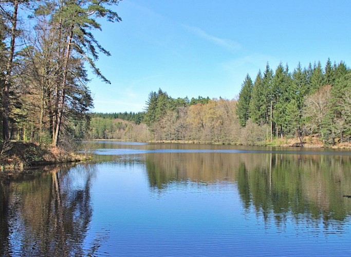 Etang de la Borde (Gumond)