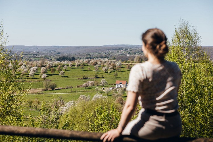 Cerisiers vue Blanzey - French Wanderers