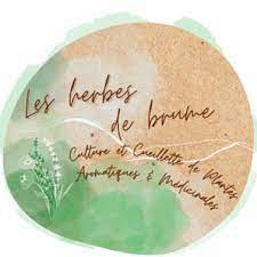 Les Herbes de Brume