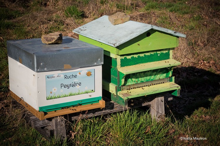 _Nadia_Mauleon-Manuel_Vigneron-Miel-Agriculteur-015