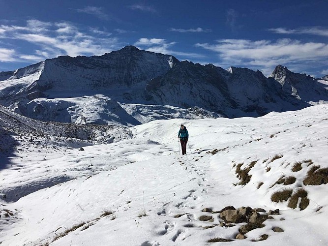 PHENE SAS - Matthieu RONDOUIN