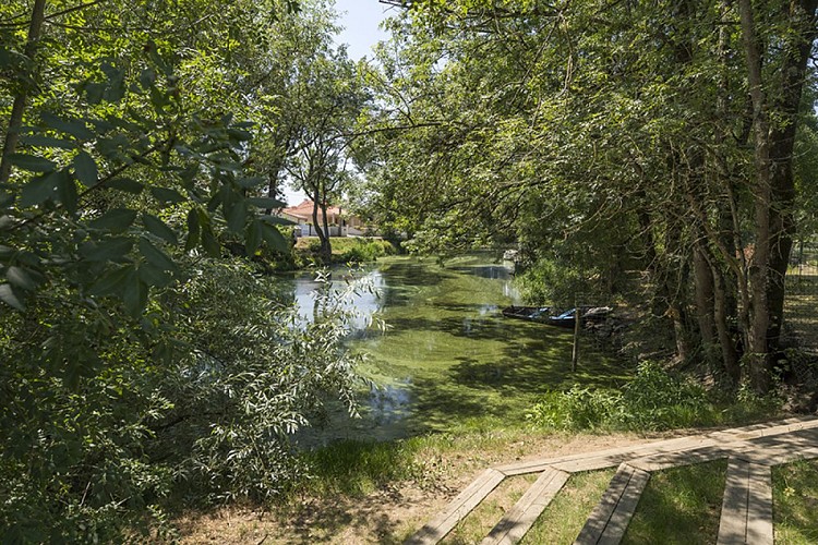 AIRE DE PIQUE-NIQUE RUE DU SQUARE