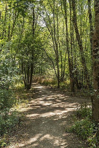 AIRE DE PIQUE-NIQUE DU PRÉ MOREAU