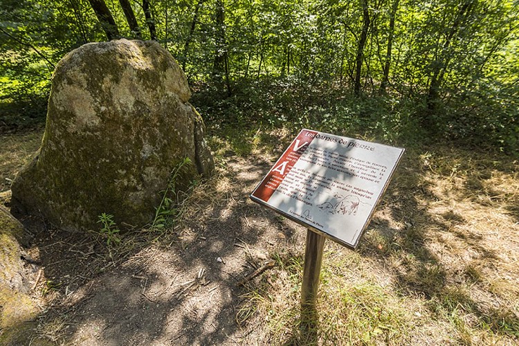 AIRE DE PIQUE-NIQUE DU PRÉ MOREAU