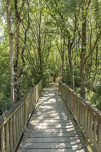 AIRE DE PIQUE-NIQUE DU PRÉ MOREAU