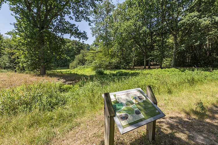 AIRE DE PIQUE-NIQUE DU PRÉ MOREAU