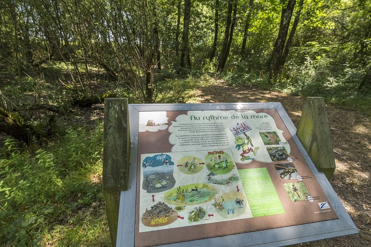 AIRE DE PIQUE-NIQUE DU PRÉ MOREAU