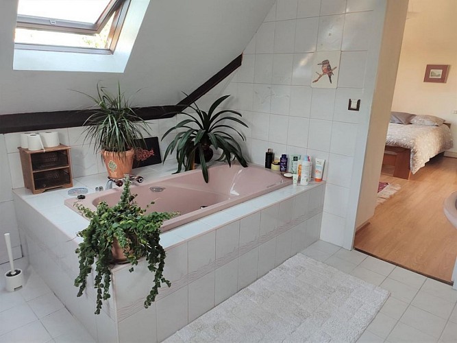 doos-josiane-salle-de-bain-1