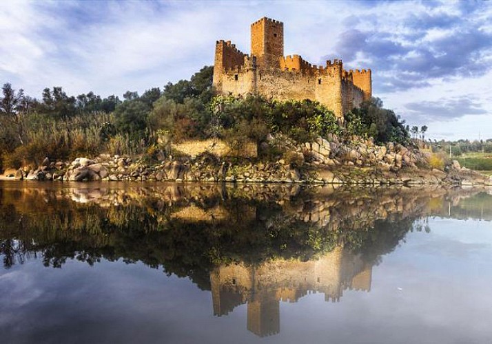 Excursion to the medieval region of the Templars: Almourol Castle, Tomar... - in French - from Lisbon